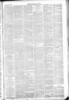 Thetford & Watton Times Saturday 15 January 1881 Page 3