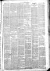 Thetford & Watton Times Saturday 12 February 1881 Page 3