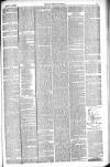 Thetford & Watton Times Saturday 05 April 1884 Page 3