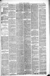 Thetford & Watton Times Saturday 11 October 1884 Page 5