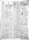 Thetford & Watton Times Saturday 27 January 1900 Page 3
