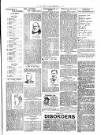 Belper News Friday 02 November 1900 Page 7