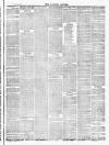 Daventry and District Weekly Express Saturday 08 December 1877 Page 3