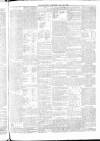 Dewsbury Reporter Saturday 18 July 1874 Page 3