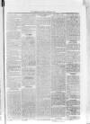 Bo'ness Journal and Linlithgow Advertiser Friday 04 January 1884 Page 3