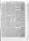 Bo'ness Journal and Linlithgow Advertiser Friday 25 January 1884 Page 3