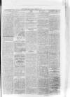 Bo'ness Journal and Linlithgow Advertiser Friday 29 February 1884 Page 3