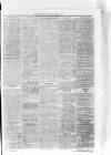Bo'ness Journal and Linlithgow Advertiser Friday 07 March 1884 Page 3