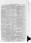 Bo'ness Journal and Linlithgow Advertiser Friday 12 September 1884 Page 3