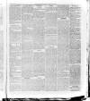 Bo'ness Journal and Linlithgow Advertiser Friday 19 February 1886 Page 3