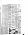 Nantwich Guardian Wednesday 09 January 1878 Page 7