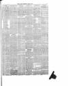 Nantwich Guardian Wednesday 10 April 1878 Page 3