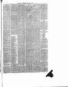 Nantwich Guardian Wednesday 01 January 1879 Page 5