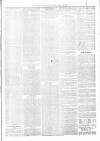 Banbury Advertiser Thursday 04 February 1875 Page 7