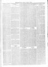 Banbury Advertiser Thursday 29 April 1875 Page 3