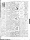 Lisburn Herald and Antrim and Down Advertiser Saturday 24 December 1892 Page 7