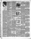 Lisburn Herald and Antrim and Down Advertiser Saturday 15 April 1893 Page 7