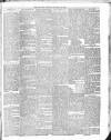 Lisburn Herald and Antrim and Down Advertiser Saturday 13 January 1894 Page 5