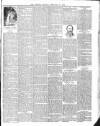 Lisburn Herald and Antrim and Down Advertiser Saturday 10 February 1894 Page 7