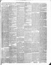 Lisburn Herald and Antrim and Down Advertiser Saturday 10 March 1894 Page 5
