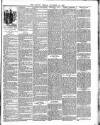 Lisburn Herald and Antrim and Down Advertiser Saturday 24 November 1894 Page 3