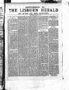 Lisburn Herald and Antrim and Down Advertiser Saturday 19 January 1895 Page 9