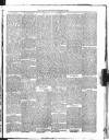 Lisburn Herald and Antrim and Down Advertiser Saturday 28 December 1895 Page 5