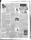 Lisburn Herald and Antrim and Down Advertiser Saturday 28 December 1895 Page 7