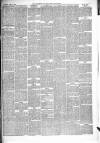 Wiltshire Times and Trowbridge Advertiser Saturday 18 April 1868 Page 3