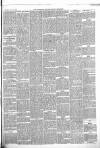 Wiltshire Times and Trowbridge Advertiser Saturday 06 June 1868 Page 3