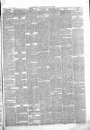 Wiltshire Times and Trowbridge Advertiser Saturday 30 January 1869 Page 3