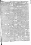 Wiltshire Times and Trowbridge Advertiser Saturday 03 April 1869 Page 3