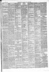 Wiltshire Times and Trowbridge Advertiser Saturday 24 April 1875 Page 3