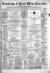 Wiltshire Times and Trowbridge Advertiser Saturday 19 June 1875 Page 1