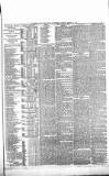 Wiltshire Times and Trowbridge Advertiser Saturday 10 March 1877 Page 3