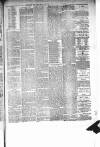 Wiltshire Times and Trowbridge Advertiser Saturday 29 December 1877 Page 3