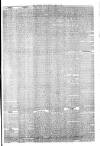 Wiltshire Times and Trowbridge Advertiser Saturday 18 April 1885 Page 7