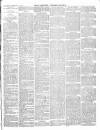 Warminster & Westbury journal, and Wilts County Advertiser Saturday 04 February 1882 Page 3
