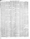 Warminster & Westbury journal, and Wilts County Advertiser Friday 04 December 1885 Page 5