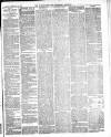 Warminster & Westbury journal, and Wilts County Advertiser Saturday 05 February 1887 Page 3