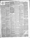 Warminster & Westbury journal, and Wilts County Advertiser Saturday 14 May 1887 Page 3