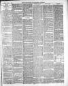 Warminster & Westbury journal, and Wilts County Advertiser Saturday 21 May 1887 Page 3