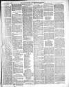 Warminster & Westbury journal, and Wilts County Advertiser Saturday 04 June 1887 Page 7