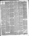 Warminster & Westbury journal, and Wilts County Advertiser Saturday 25 June 1887 Page 3