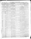Warminster & Westbury journal, and Wilts County Advertiser Saturday 02 March 1889 Page 7