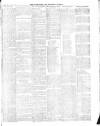 Warminster & Westbury journal, and Wilts County Advertiser Saturday 04 May 1889 Page 7