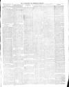 Warminster & Westbury journal, and Wilts County Advertiser Saturday 29 June 1889 Page 3