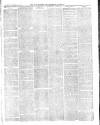 Warminster & Westbury journal, and Wilts County Advertiser Saturday 07 December 1889 Page 3