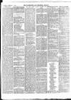 Warminster & Westbury journal, and Wilts County Advertiser Saturday 04 February 1893 Page 7