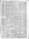 Warminster & Westbury journal, and Wilts County Advertiser Saturday 03 November 1894 Page 3